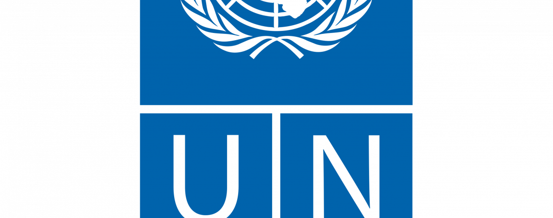 Logo UNDP 4096px